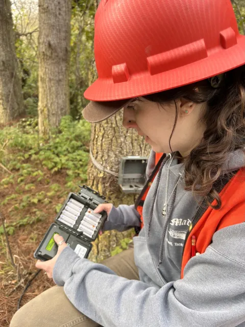 Person adjusting settings on a wildlife trail camera.