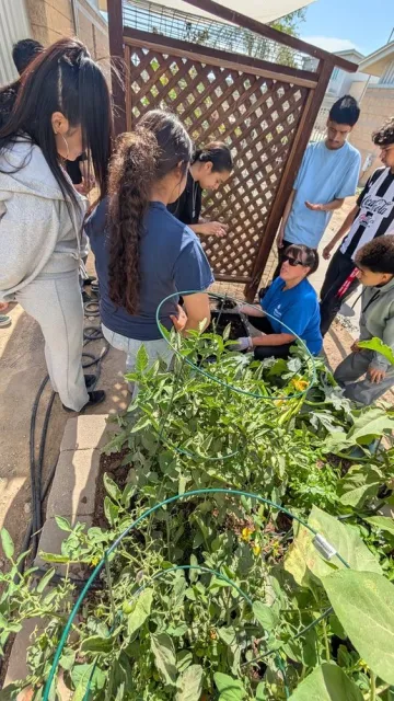 Teenage students standing near raised garden beds with an adult educator.