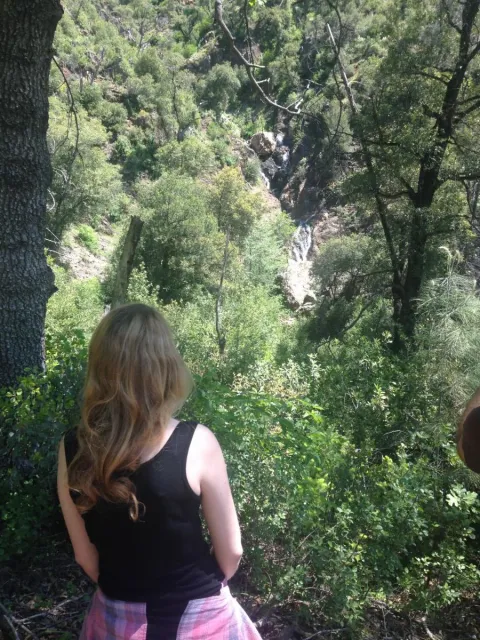 Woman with her back to the camera observes the forest.
