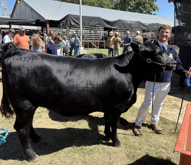 2025 Scholarship winner, Ethan Knechtle of Etna FFA. Robert and Laura Martin, Pioneer Cattle Co., contributed Ethan's bred heifer.