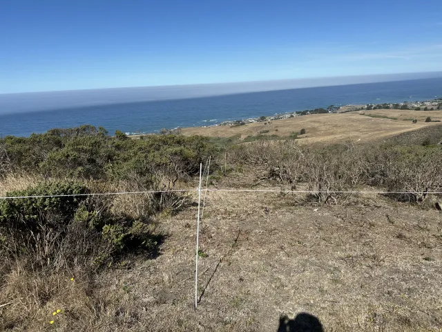 shrubs on left side of fenceline, grassland on right side