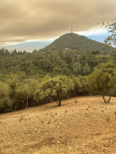 Grazed buffer around house in the foreground with dense brush and trees in the background. Smoke from the Gann Fire in Calaveras County fills the sky.