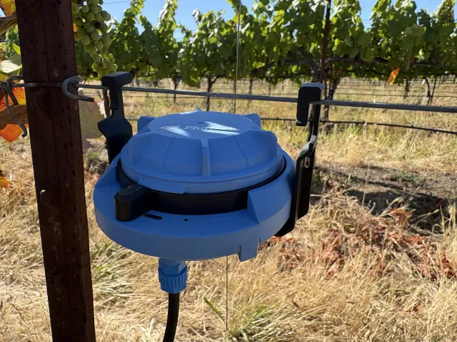 Sensor on irrigation tubing in a vineyard