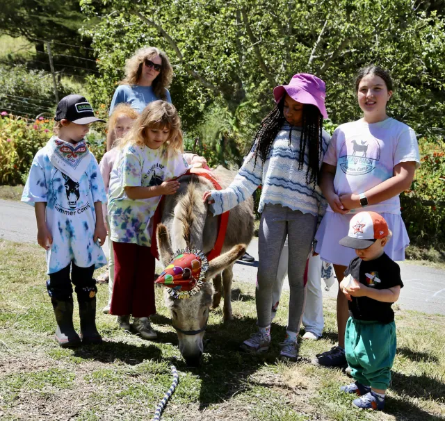 A woman looks on as 6 kids pose with a donkey wearing a party hat