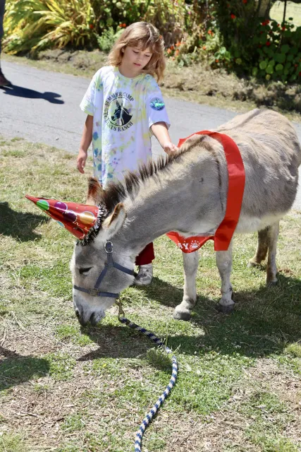 A young girl in a tie-dye shirt pets a donkey wearing a party hat and red sash