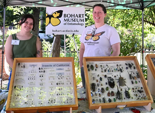 Tabatha Yang (right), education and outreach coordinator of the Bohart Museum of Entomology, and intern Jo Ridgeway with their display at the Vacaville Museum Guild's Children's Party. The Bohart Museum is now gearing up for its fall open houses. (Photo by Kathy Keatley Garvey)