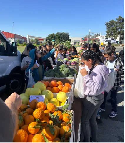 Students select colorful fresh produce from boxes to take home in bags