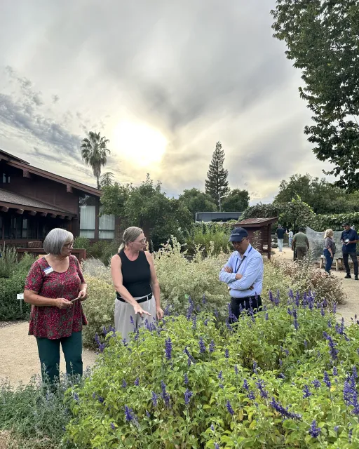 Tour participants enjoy the UC Master Gardeners demo garden at Loomis Library