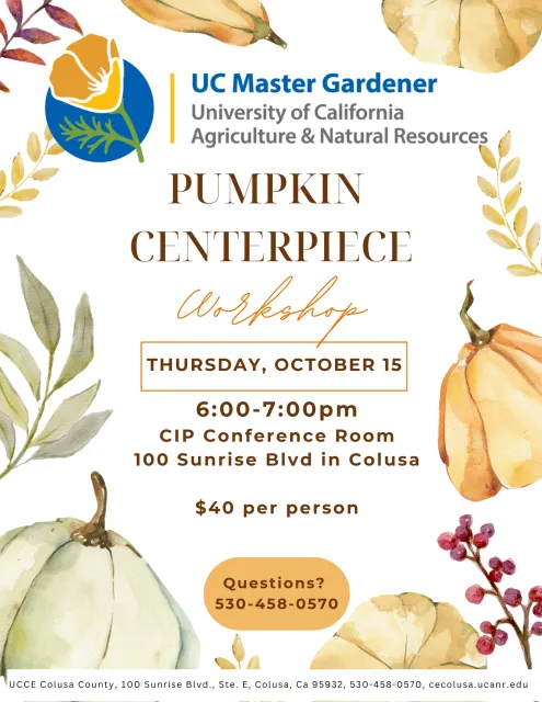 pumpkin centerpiece workshop flyer