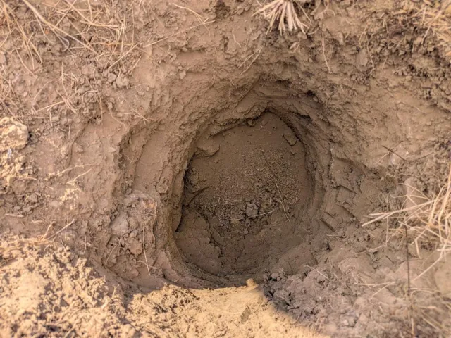 Hole dug in soil.