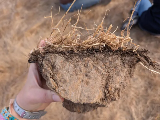 Chunk of soil.