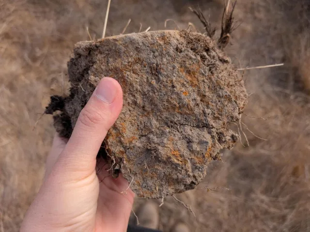 Chunk of soil.