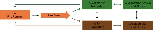 Graph showing effects of fire on soil.