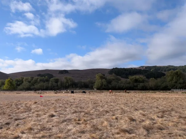 Restored riparian area bordering rangelands.