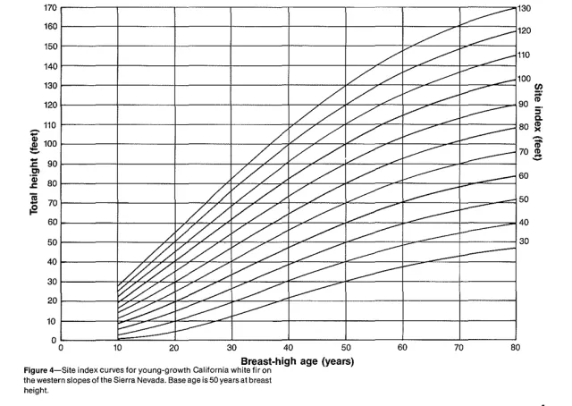Site index curve graph for young-growth California white fir.