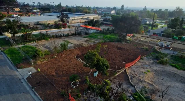 Residential lot, post fire with compost applied.