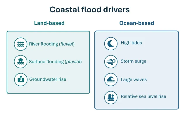 Drivers of compound coastal flooding