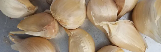 garlic gloves