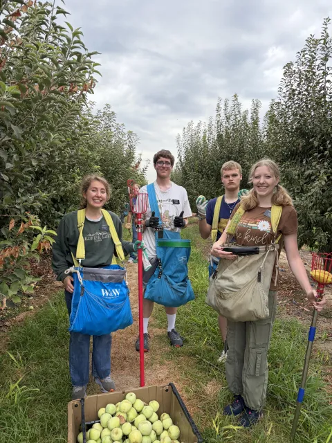 Four people with bags and harvesting tools pose next to a box of apples in an apple orchard