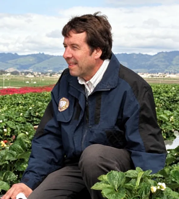 UC Davis Distinguished Professor Frank Zalom in a strawberry field. (Photo by Ed Show of Driscoll's)