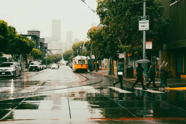 Rain falls on slickened streets of a city as pedestrians in a crosswalk hold umbrellas
