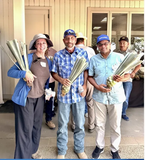 Three people standing holding agave stalks
