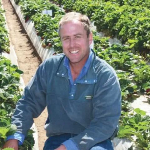 Mark P. Bolda