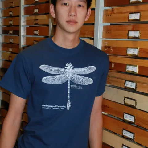 UC Davis undergraduate student William Yuen wearing his dragonfly t-shirt. He has worked part-time in the Bohart Museum of Entomology for two years. (Photo by Fran Keller)