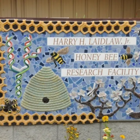 See the ceramic hive on this sign at the Harry H. Laidlaw Jr. Honey Bee Research Facility? The black hole leads to a real hive, located in back of the sign. (Photo by Kathy Keatley Garvey)