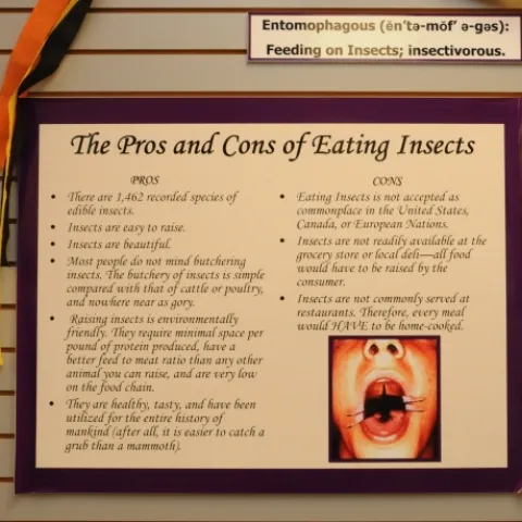 SIGN SAYS IT ALL--This sign at the Bohart Museum of Entomology offers the pros and cons of eating insects. (Photo by Kathy Keatley Garvey)