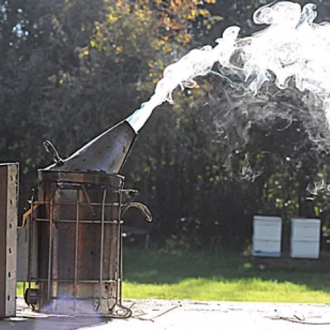 BLOWIN' SMOKE--Smoke shoots from a bee smoker at the Harry H. Laidlaw Jr. Honey Bee Research Facility at UC Davis. Bee hives are in the background.(Photo by Kathy Keatley Garvey)