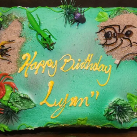 PERFECT CAKE FOR AN ENTOMOLOGIST--What's a perfect birthday cake for an insect scientist? One with bugs. (Photo by Kathy Keatley Garvey)