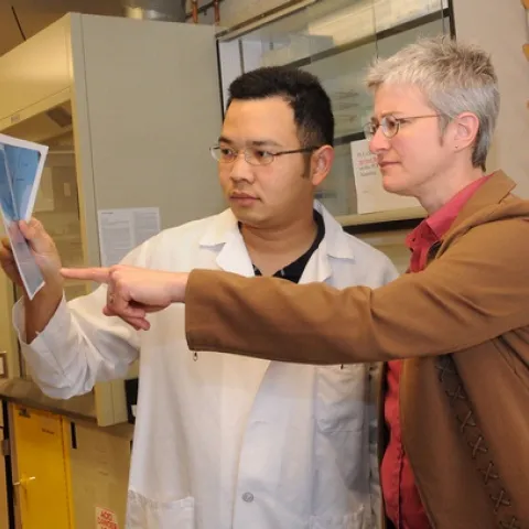 MALARIA RESEARCHERS Win Surachetpong and his major professor Shirley Luckhart working in the Luckhart lab at the University of California, Davis. (Photo by Kathy Keatley Garvey)