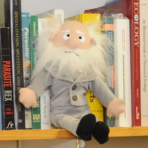 CHARLES DARWIN: BIRTHDAY BOY--This caricature of Charles Darwin perches on a shelf in the lab of UC Davis evolutionary ecologist Andrew Forbes. The UC Davis Center for Population Biology is sponsoring a Darwin Day at 7 p.m. on Feb. 23 in the Varsity Theater, 616 Second St., Davis. (Photo by Kathy Keatley Garvey)