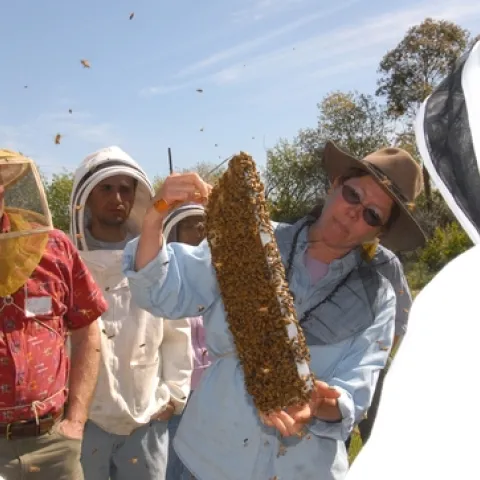 SUSAN COBEY shows a frame to the students in her 2008 class, "The Art of Queen Rearing." (Photo by Kathy Keatley Garvey)