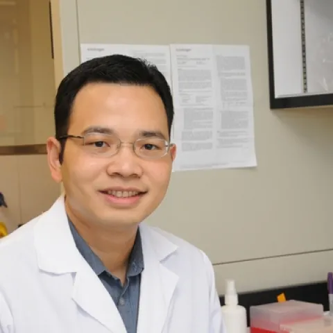 MALARIA RESEARCHER Win Surachetpong in the Shirley Luckhart lab at UC Davis. (Photo by Kathy Keatley Garvey)