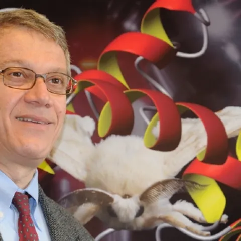 NEWEST ESA FELLOW from UC Davis is chemical ecologist Walter Leal, professor and former chair of the Department of Entomology. (Photo by Kathy Keatley Garvey)