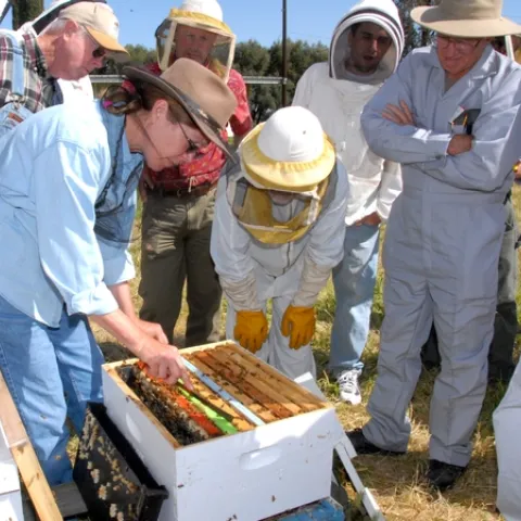 SUSAN COBEY (far left), bee breeder-geneticist and manager of the Harry H. Laidlaw Jr. Honey Bee Research Facility at the University of California, Davis, with a recent class on queen bee-rearing. (Photo by Kathy Keatley Garvey)
