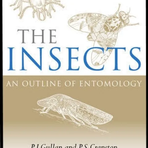 TEXTBOOK COVER of "The Insects: An Outline of Entomology." The textbook, considered "the gold standard of entomology books," will be available in the United States in March. It is the work of UC Davis professors Penny Gullan and Peter Cranston.
