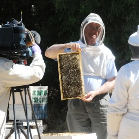 NEWS REPORTER Dea Diamont (right) of KCRA TV, Channel 3, Sacramento interviews Extension apiculturist Eric Mussen (center) of UC Davis Department of Entomology at the Harry H. Laidlaw Jr. Honey Bee Research Facility, UC Davis. At left is KCRA news photographer Brian Fong. (Photo by Kathy Keatley Garvey)