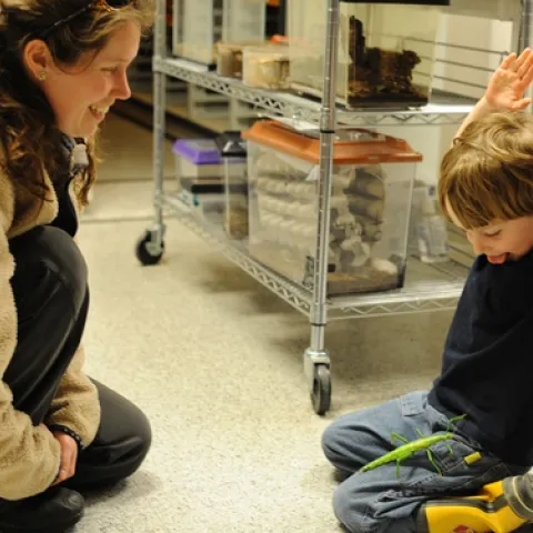 BOHART MUSEUM education and outreach coordinator Tabatha Yang (left) watches Toby Thornton's delight in a green walking stick. (Photo by Kathy Keatley Garvey)