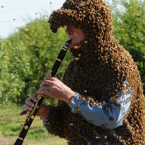 NORMAN GARY combines two occupations: bees and music. (Photo by Kathy Keatley Garvey)