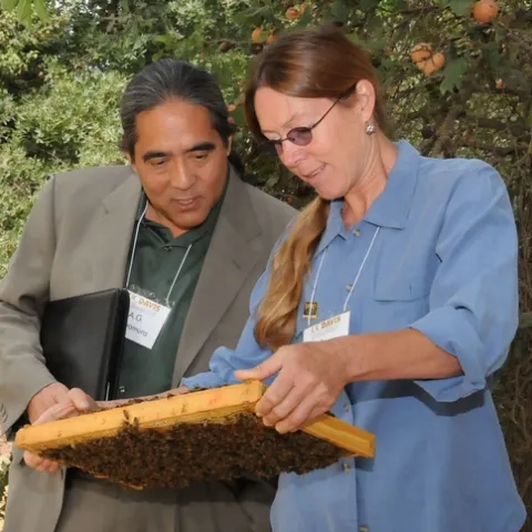 BEE BREEDER-GENETICIST Susan Cobey shows A. G. Kawamura, secretary of the California Department of Food and Agriculture, her line of New World Carniolans during his recent visit to the Harry H. Laidlaw Jr. Honey Bee Research Facility at the University of California, Davis. In his youth, Kawamura reared bees. (Photo by Kathy Keatley Garvey)