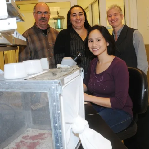 TARGETING MALARIA--This is the UC Davis team that co-authored research (with University of Arizona scientists) that made Time Magazine's "Top 50 Inventions of 2010"--the malaria-proof mosquito. In front, at the microscope, is entomology doctoral student Anna Drexler. In back (from left) are professor Edwin Lewis, postdoctoral scholar Nazzy Pakpour, and professor Shirley Luckhart. In the foreground: anopheline mosquitoes. (Photo by Kathy Keatley Garvey)
