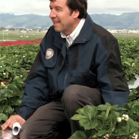 PROFESSOR Frank Zalom, noted integrated pest management (IPM) specialist, in a strawberry field in Watsonville during an agricultural field day. (Courtesy Photo)
