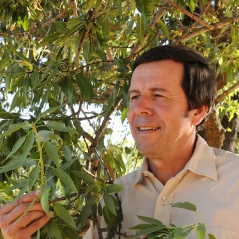 FRANK ZALOM, integrated pest management specialist and professor and former vice chair of the UC Davis Department of Entomology, is the 2011 recipient of the C. W. Woodworth Award. (Photo by Kathy Keatley Garvey)
