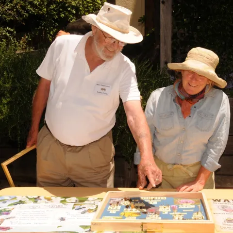 Robbin Thorp, emeritus professor of entomology at UC Davis, shows UC master gardener Kathy Ziccardi a collection of his native bees. (Photo by Kathy Keatley Garvey)