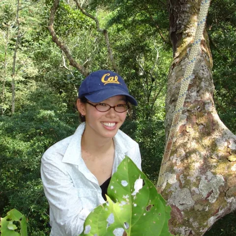 Jacklyn Wong in a canopy just outside of Iquitos, Peru. (Photo by Stephen Yanoviak)