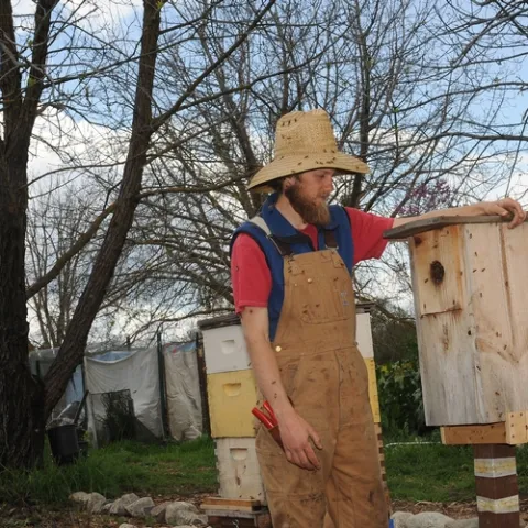 Derek Downey checks out a birdhouse filled with bees. The bees swarmed March 30 and are now established in a once-vacant bee box in the sanctuary. (Photo by Kathy Keatley Garvey)