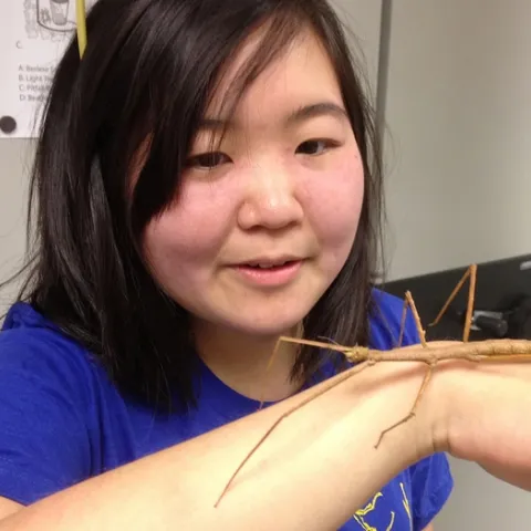 Ivana Li with a walking stick. (Photo by Fran Keller, Bohart Museum of Entomology)